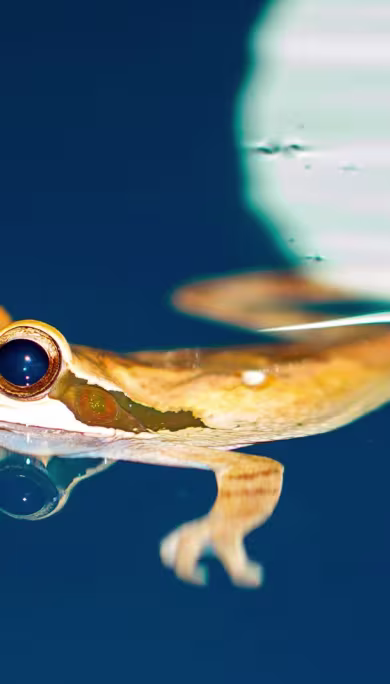 Costa Rica Travel Agency