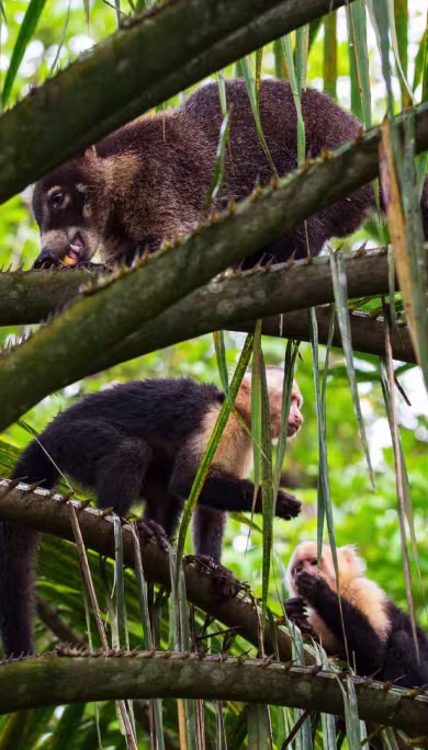 Costa Rica Travel Agency