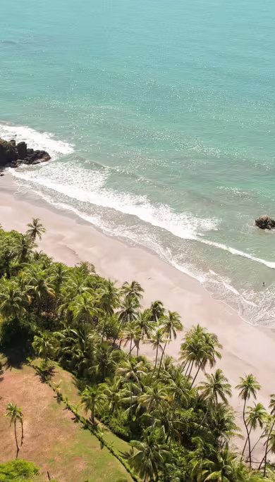 Costa Rica Travel Agency