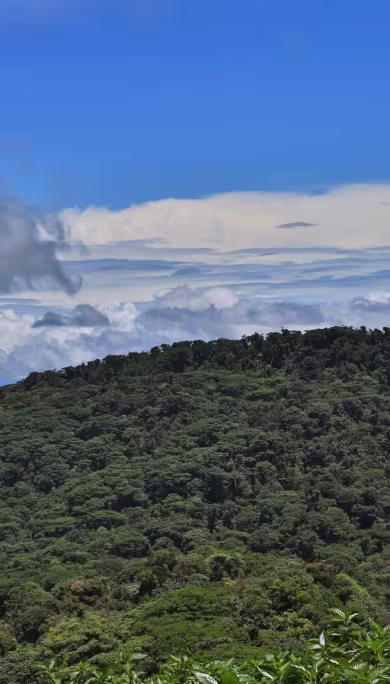 Costa Rica Travel Agency