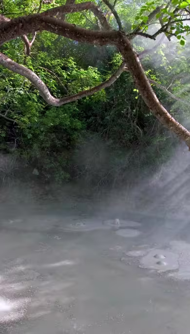 Costa Rica Travel Agency