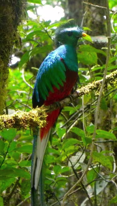 Costa Rica Travel Agency
