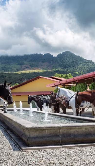 Costa Rica Travel Agency