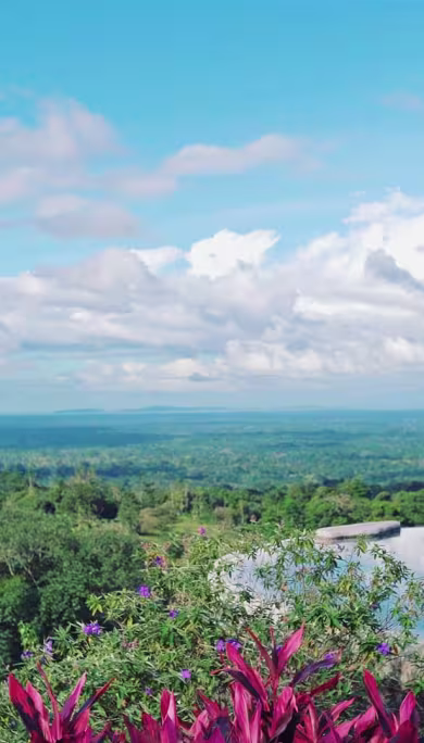 Costa Rica Travel Agency