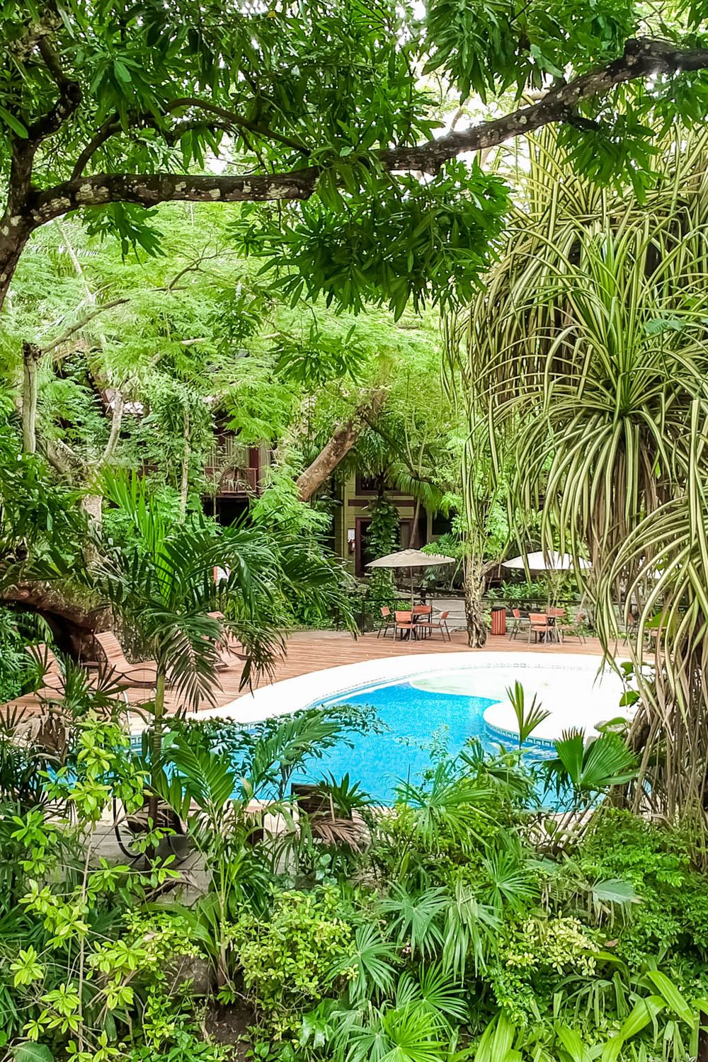 Bosque del Mar image 201