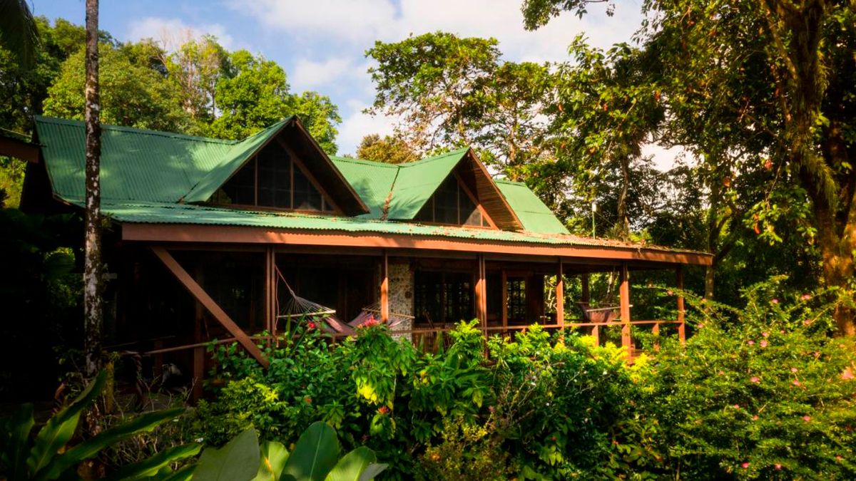 VISTA DRAKE LODGE, COSTA RICA/OSA PENINSULA: 228 fotos, comparação