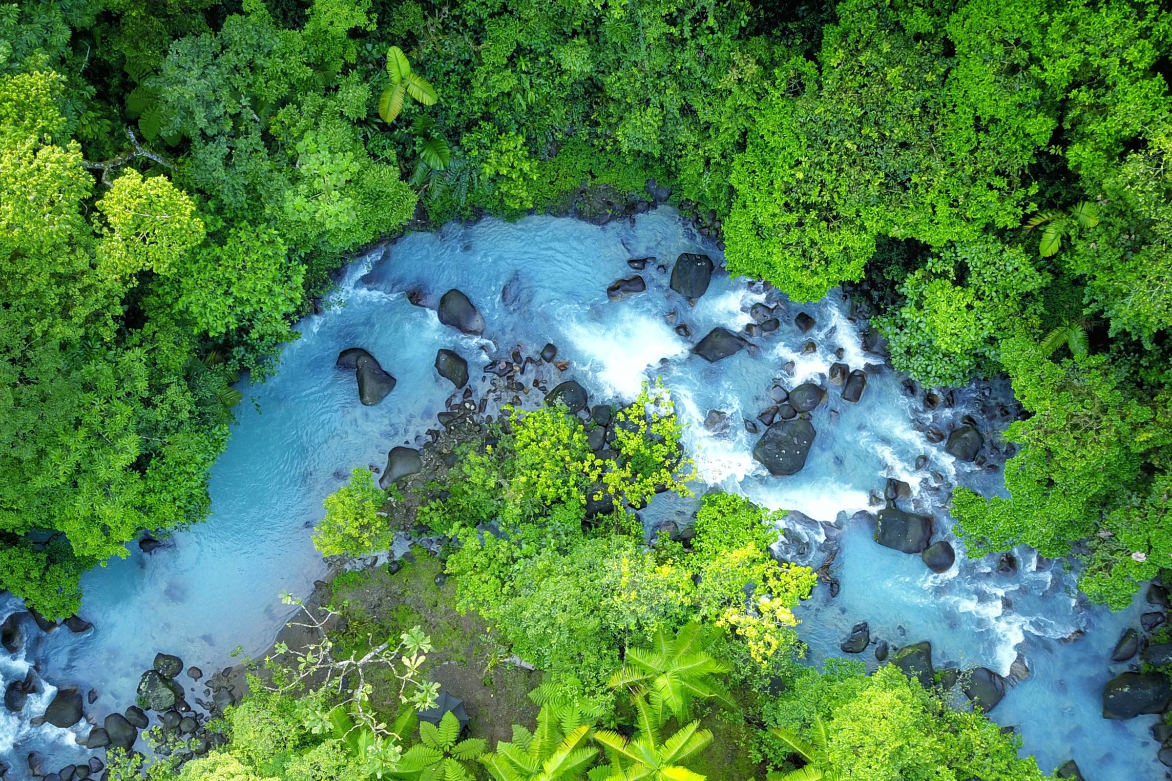 Rio Celeste and Jaco Combo A Rainforest and Beach Adventure in Costa Rica