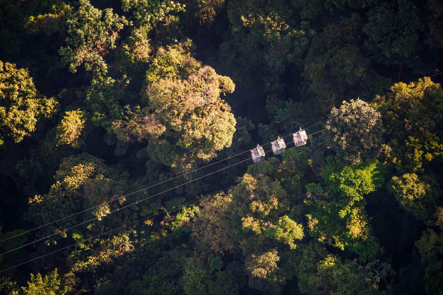 Arenal Volcano & Lake Sightseeing Airtram Ride image 914