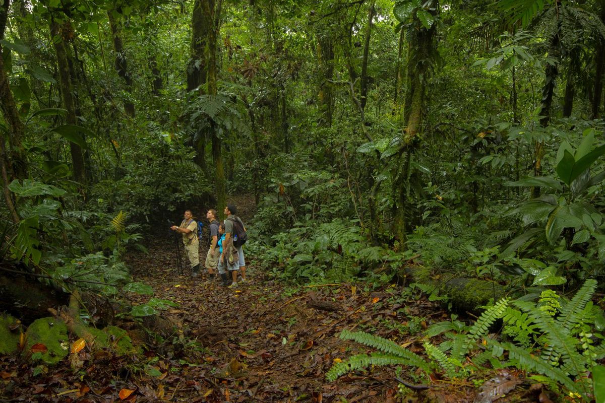 Arenal Volcano National Park image 997