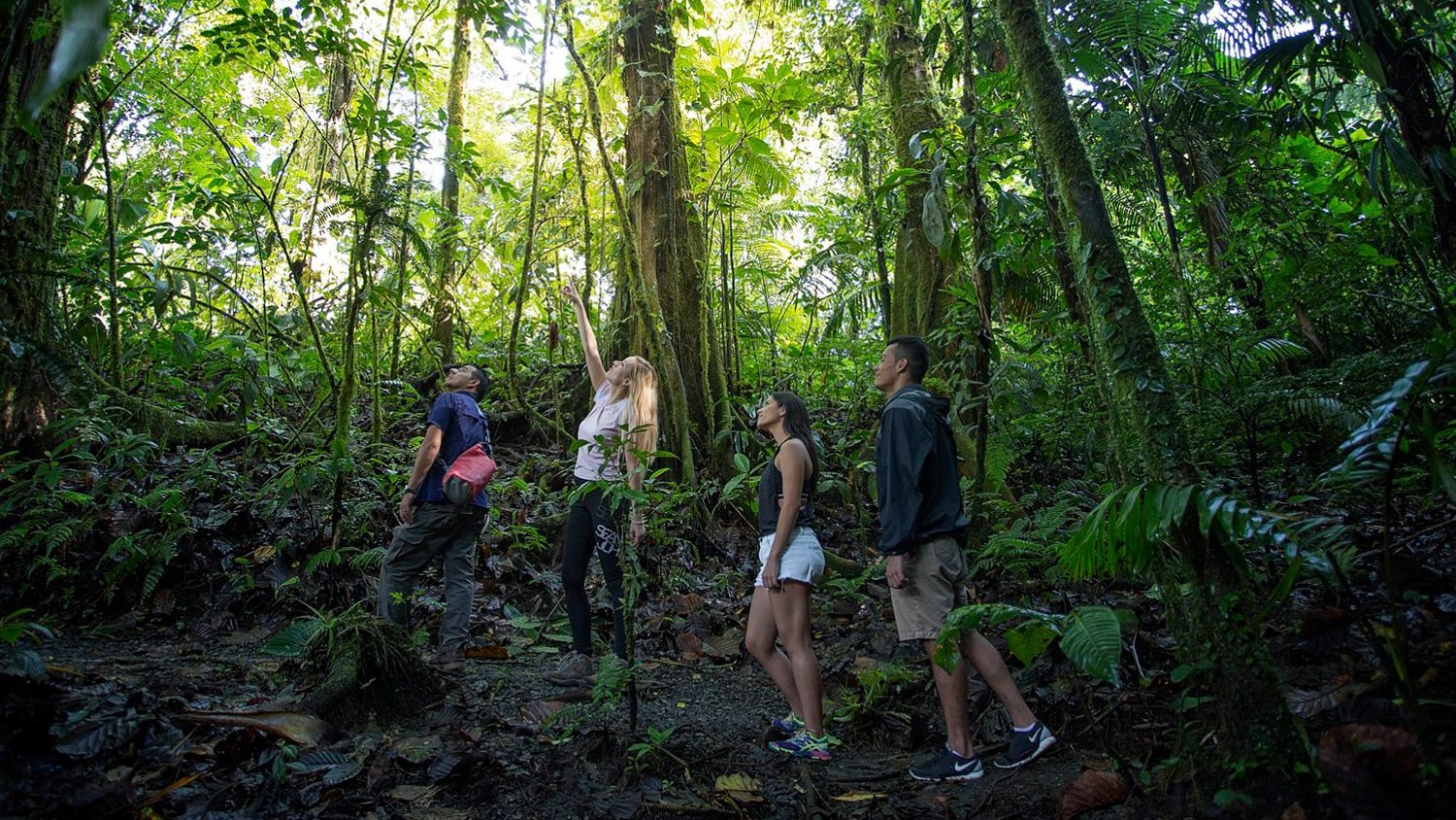 Arenal Volcano National Park image 998