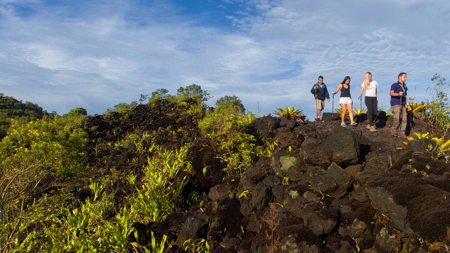 Arenal Volcano National Park image 999