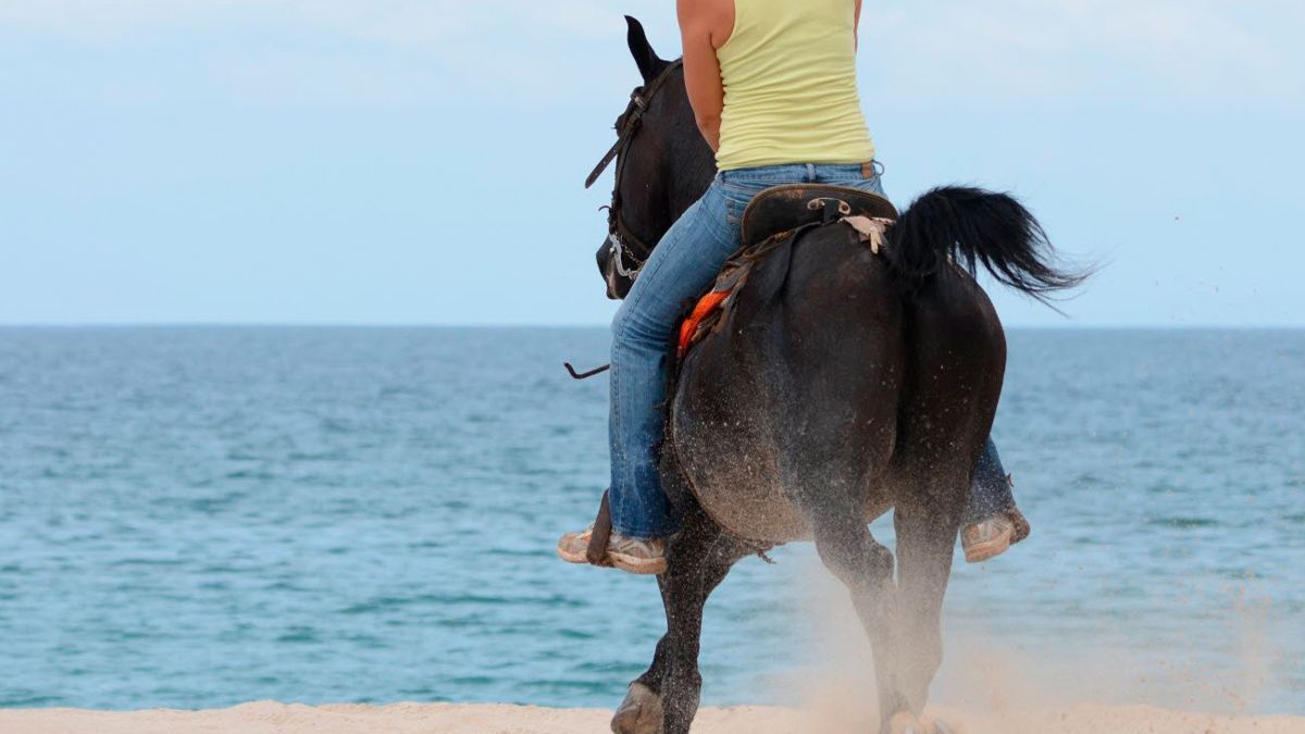 Horseback Riding image 1074