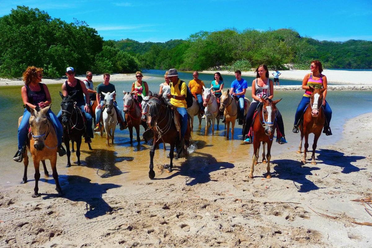 Horseback Riding image 1075