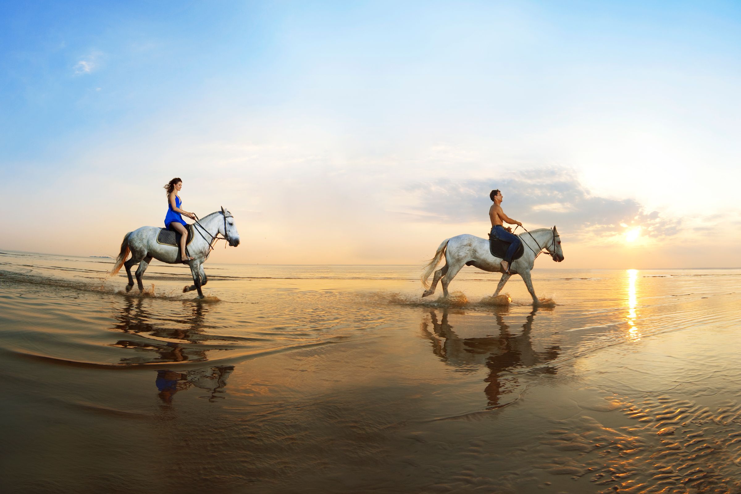 Horseback Riding image 1076