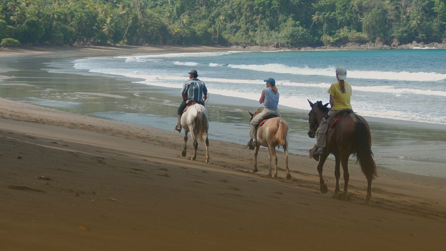 Horseback Riding image 1154