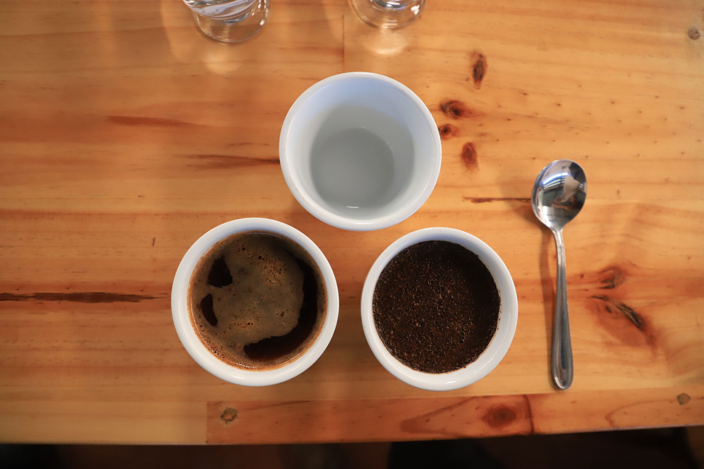 Coffee Plantation Visit image 1273