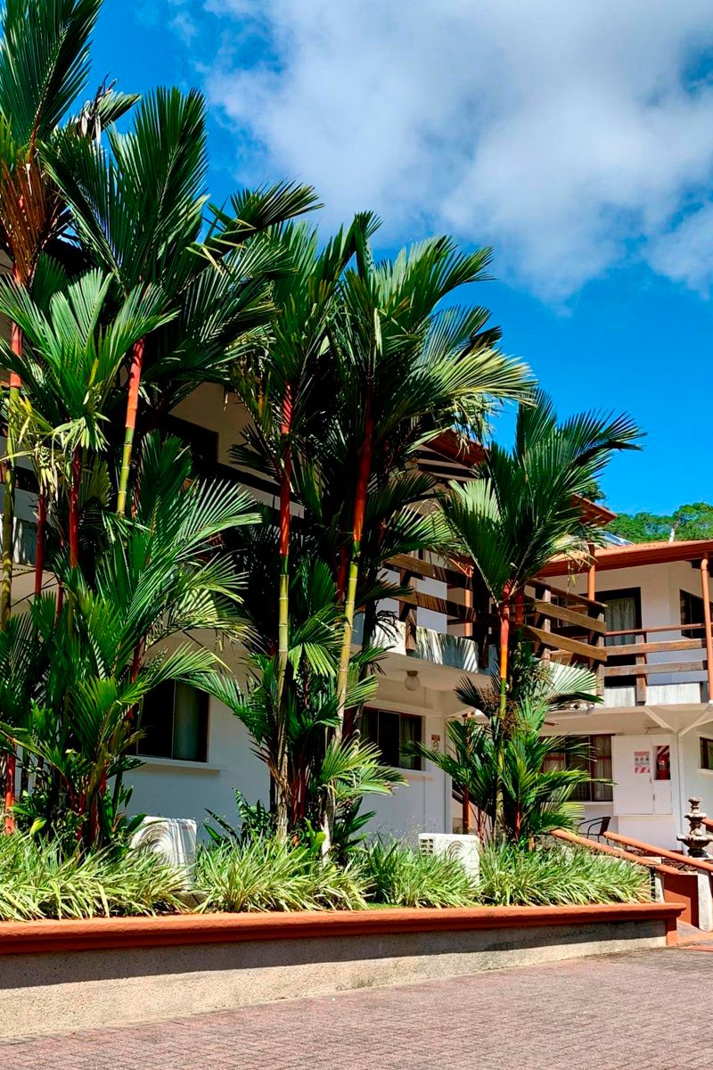 Hotel Playa Espadilla image 1506