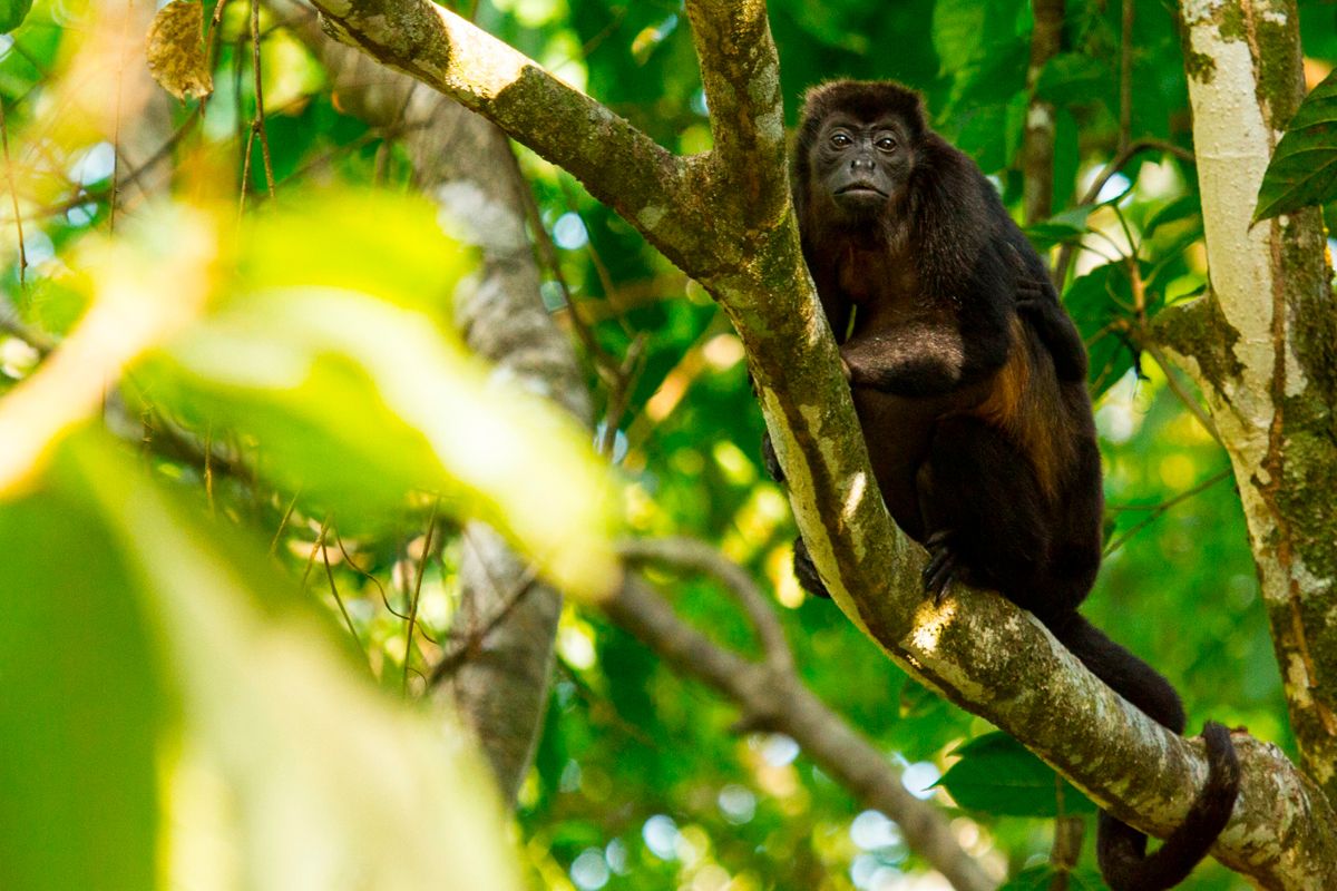 Hotel Naoz image 1524