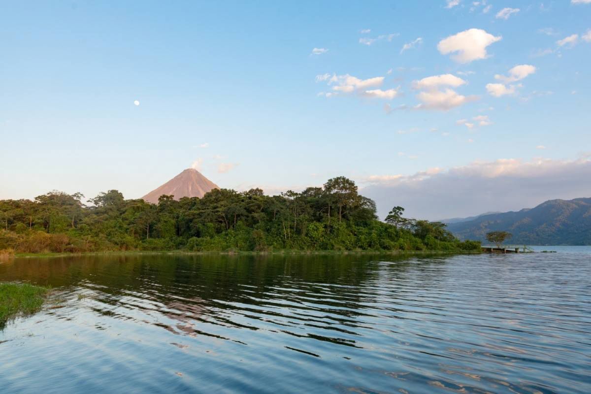 Sportfishing on Lake Arenal image 1691