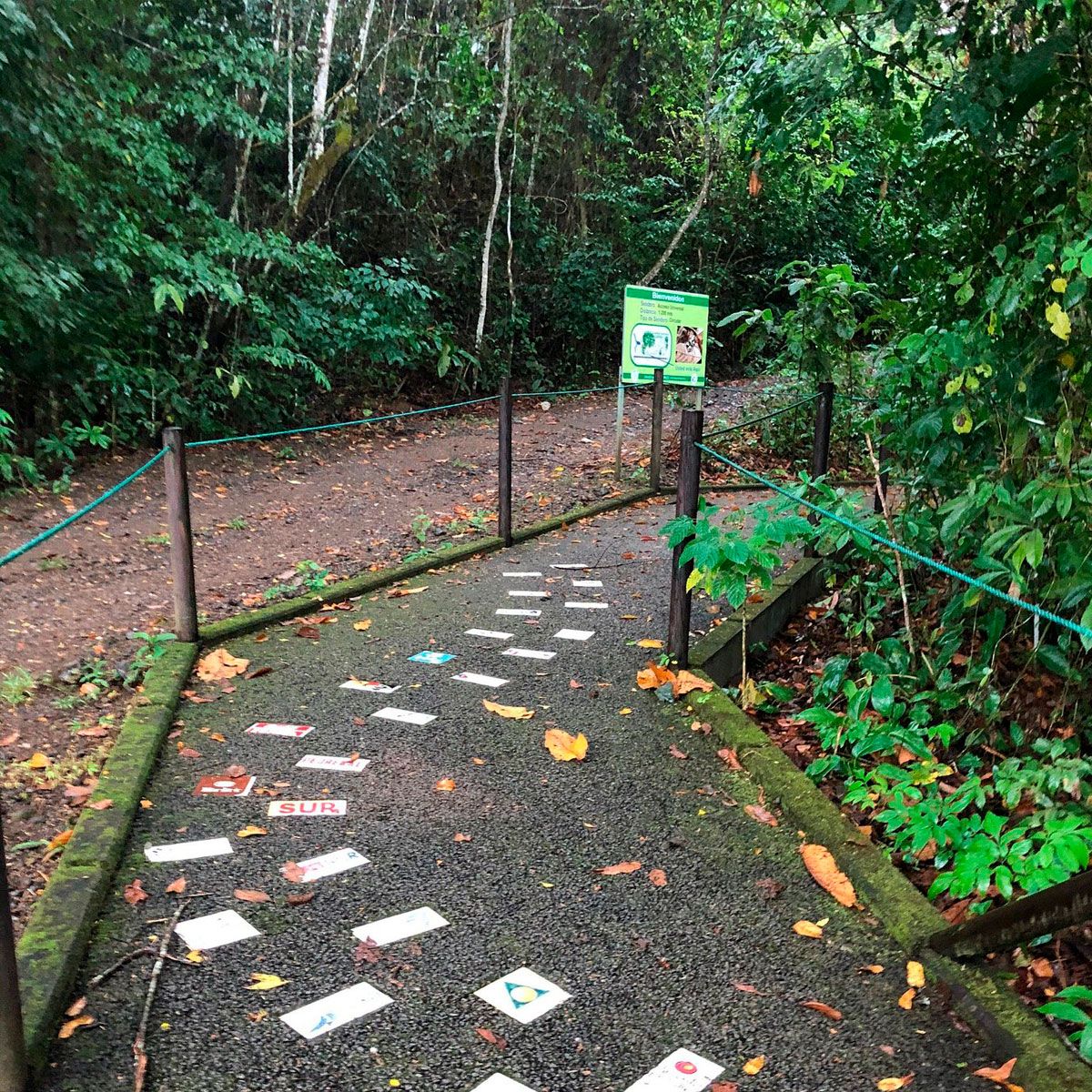 Guided Hike through Carara National Park  image 1924