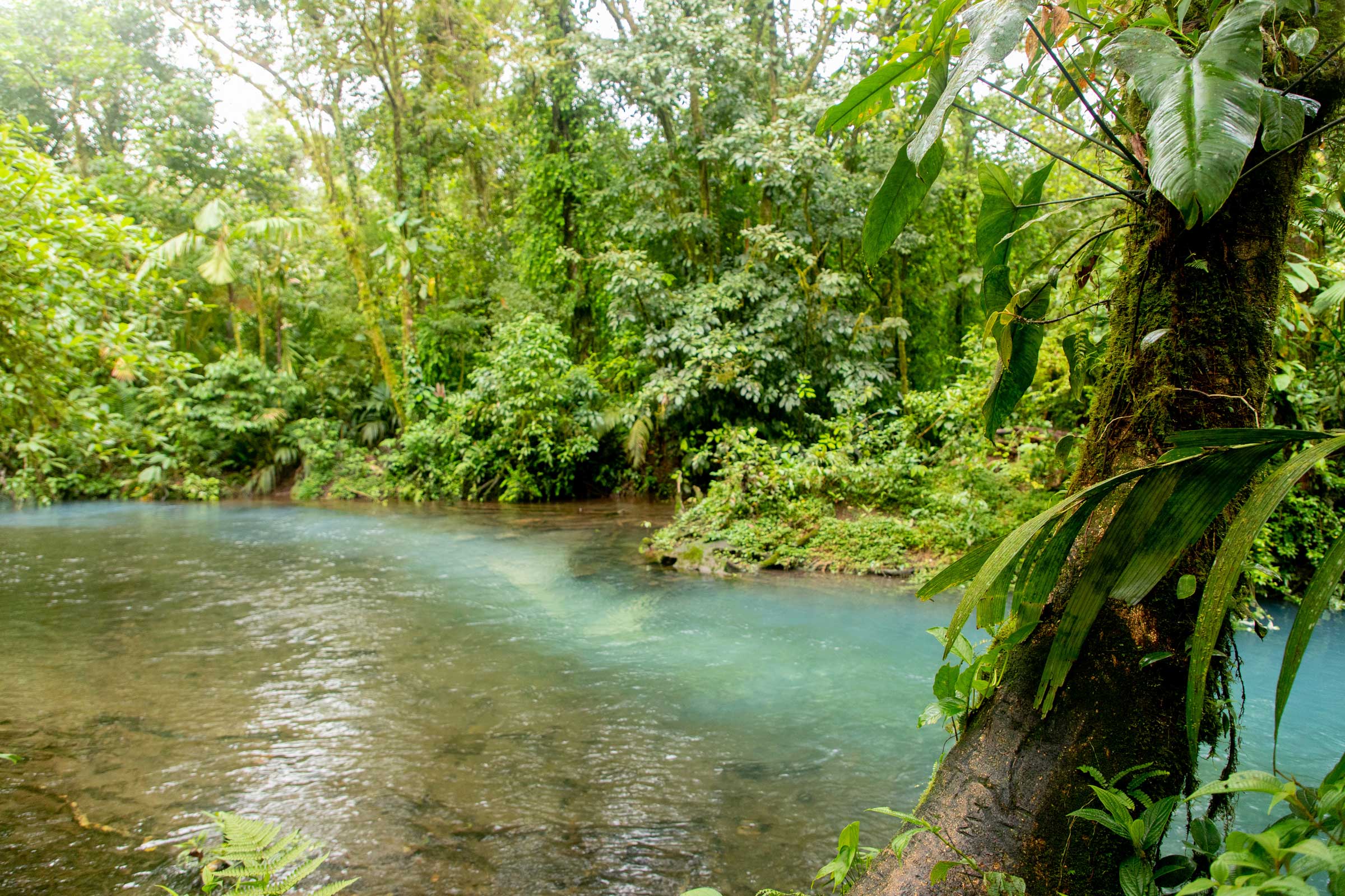 Tenorio Volcano, Rio Celeste & Guide to Manuel Antonio, Costa Rica