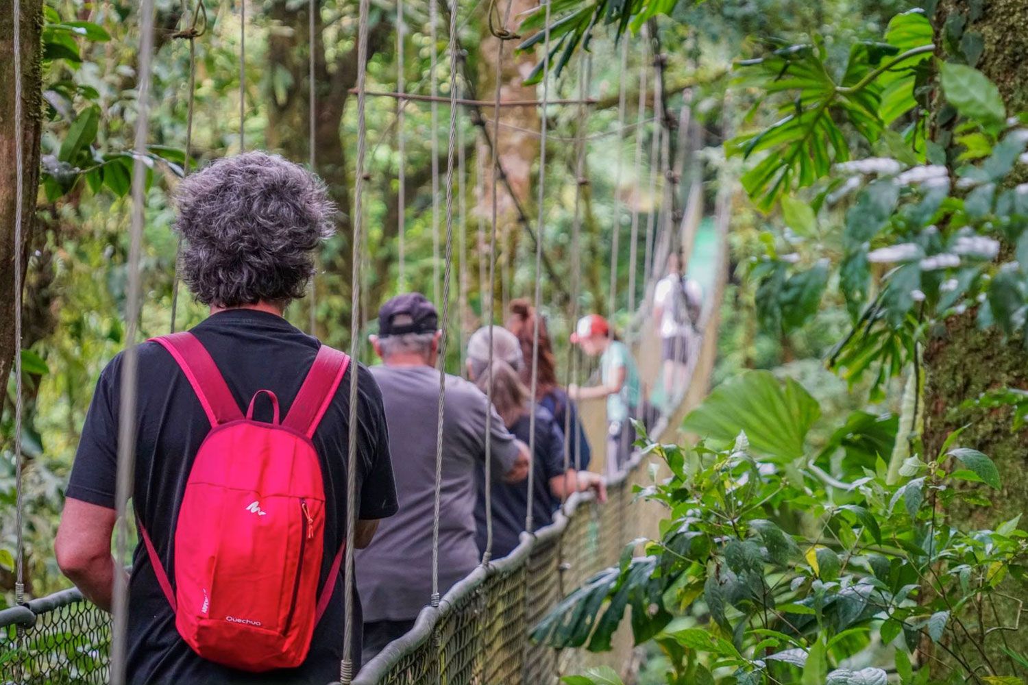 Hanging Bridges and Rainforest Trail Hike image 2027