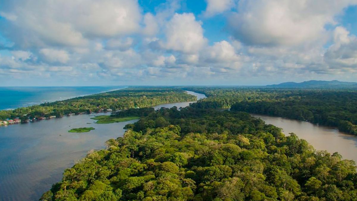 tortuguero-canals-overview.jpg