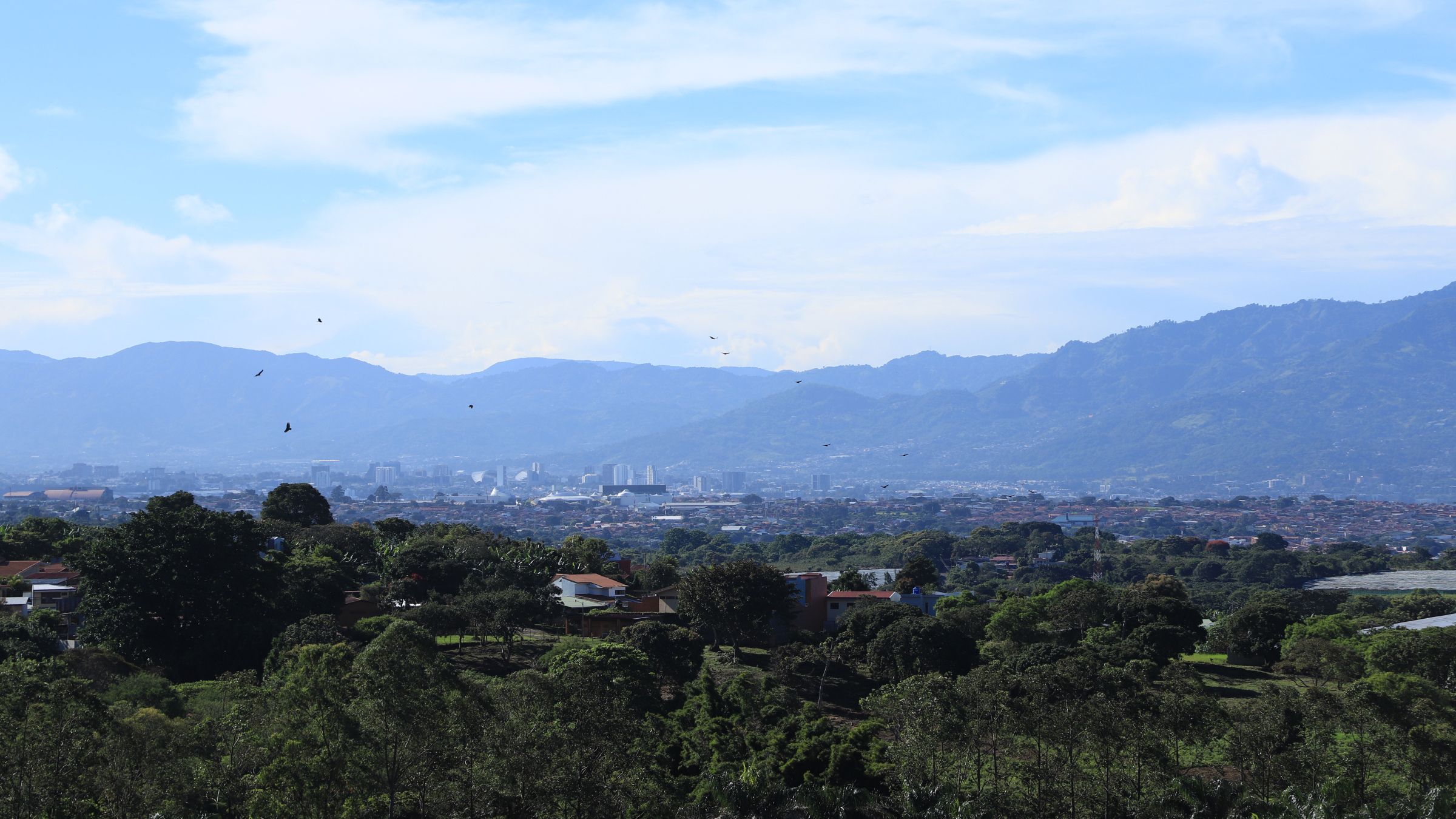 Heredia image 2459