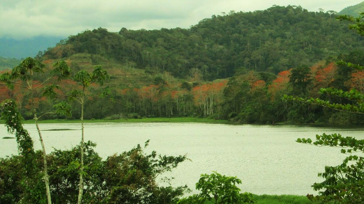 Turrialba image 2471