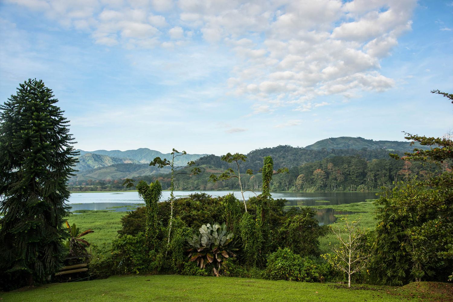 Turrialba image 2469