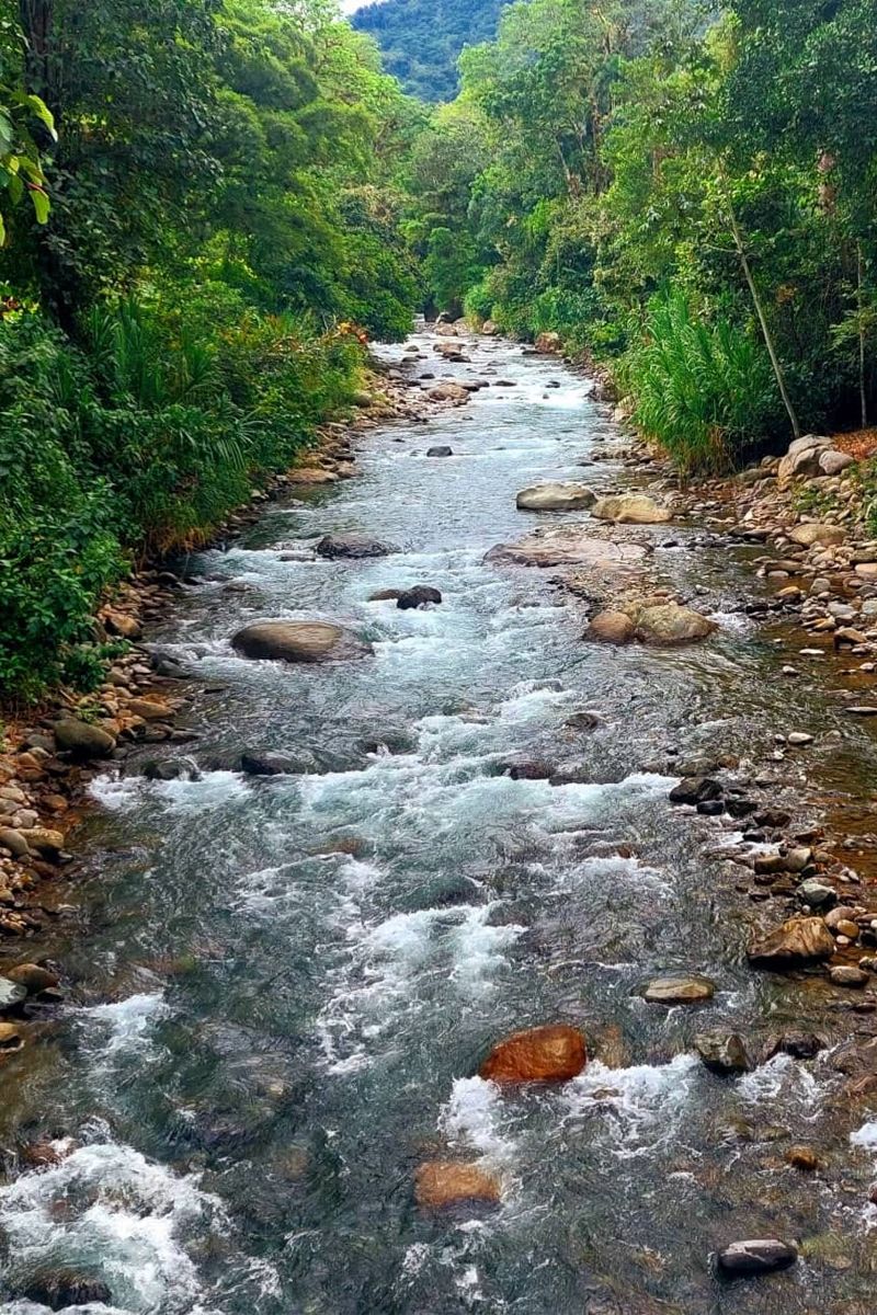 Turrialba image 2468