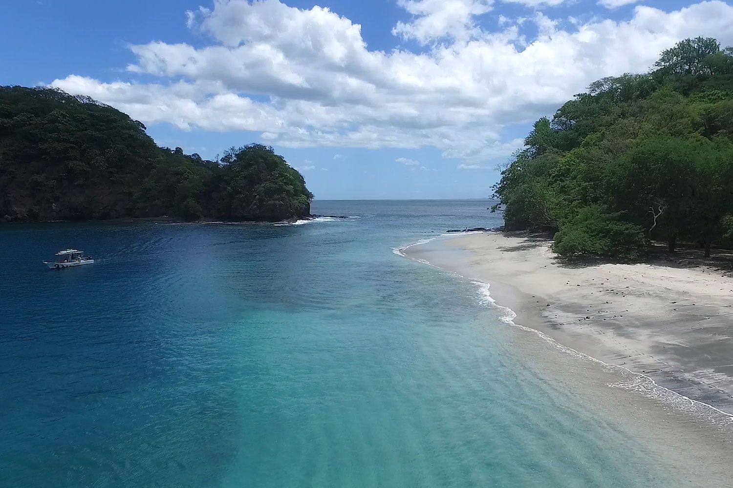 Seacliff Point Villa image 2496