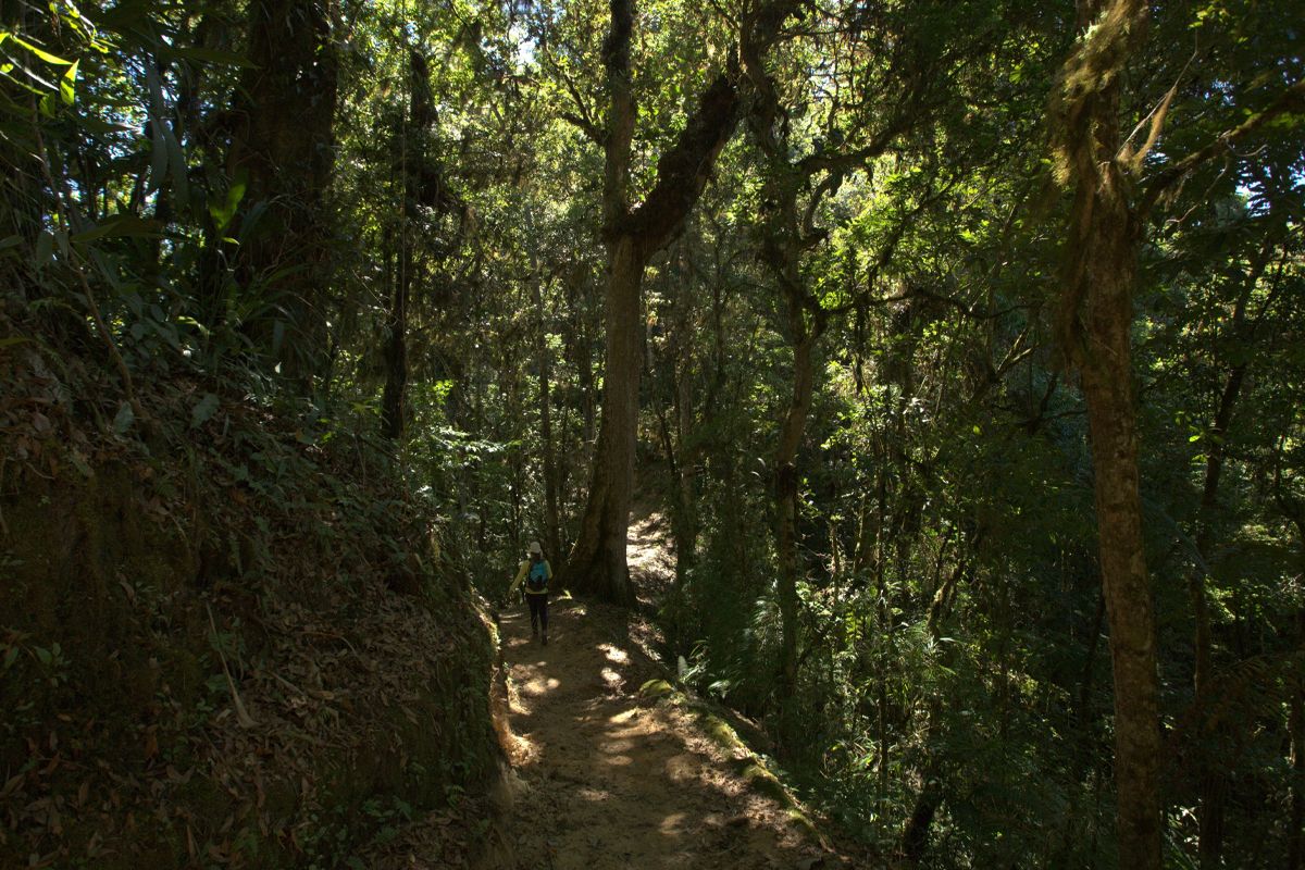 Chirripó - The Highest Mountain Peak of Costa Rica image 4049