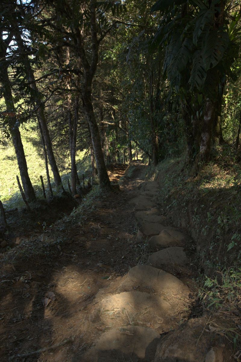 Chirripó - The Highest Mountain Peak of Costa Rica image 4051