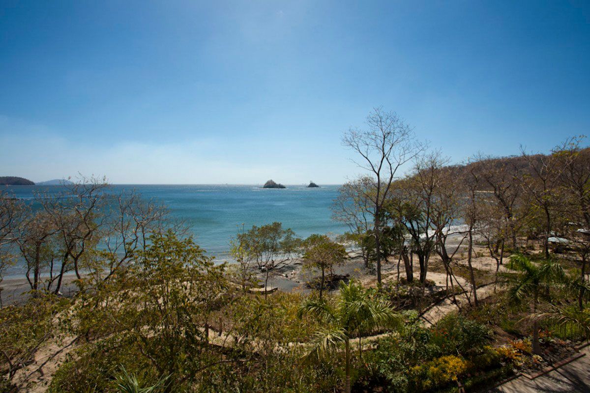 Casa de Tom image 4066