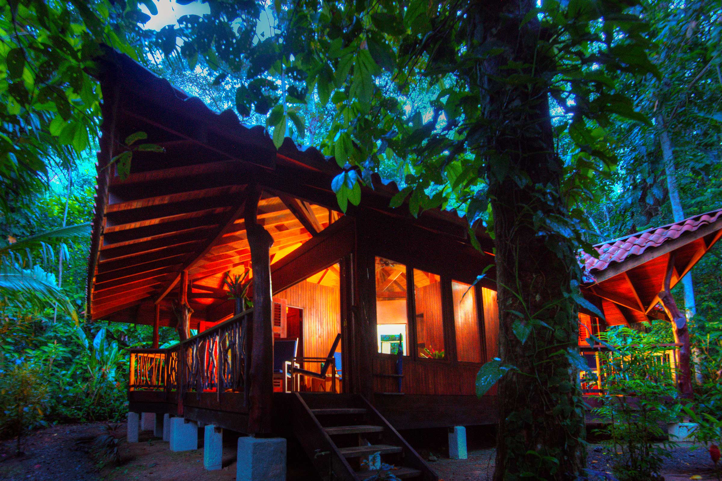 Playa Nicuesa Rainforest Lodge image 4280