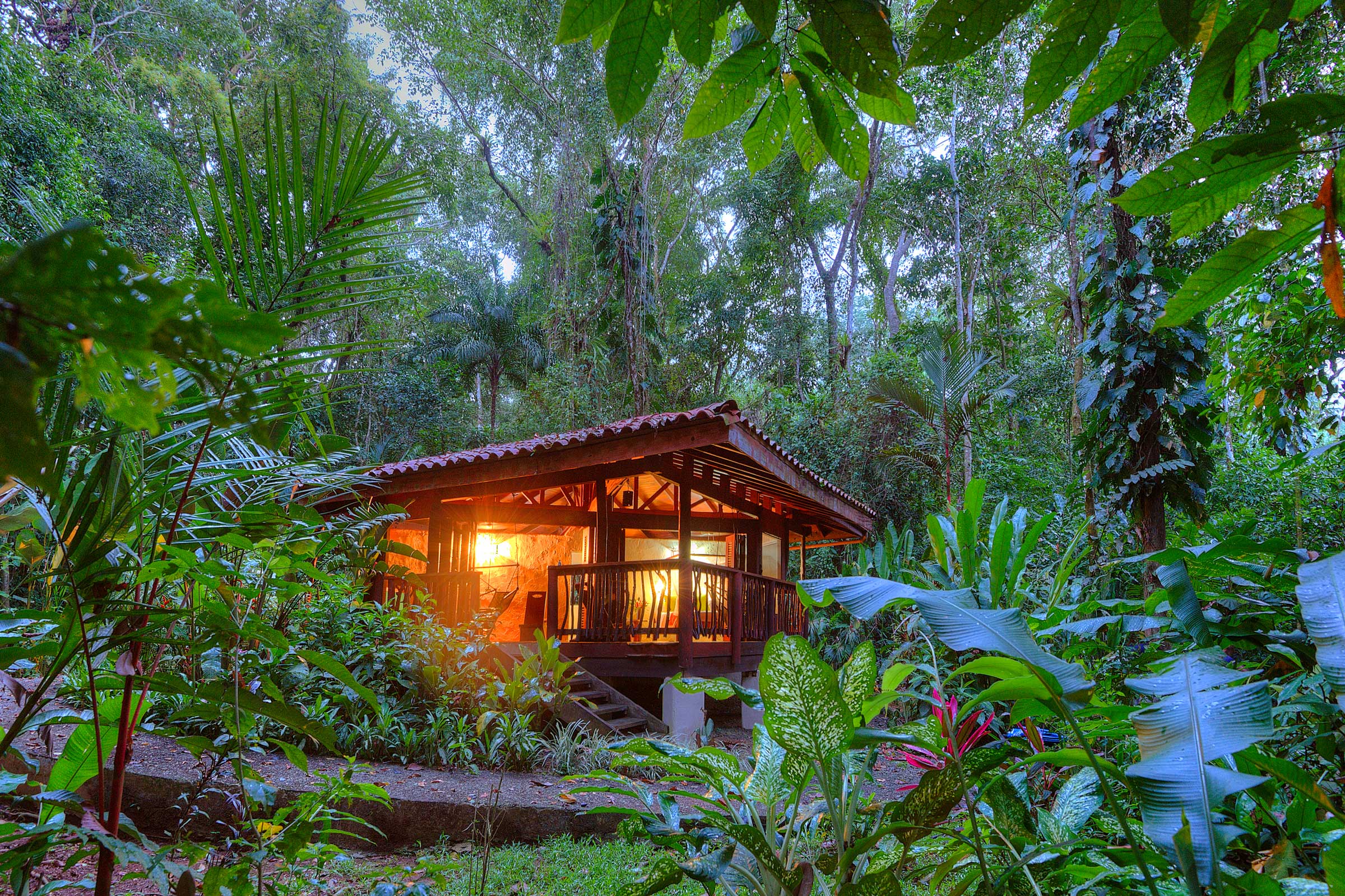 Playa Nicuesa Rainforest Lodge image 4277