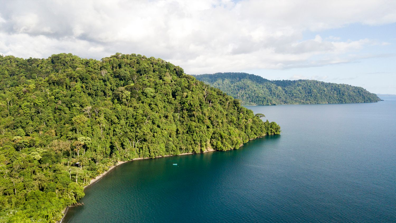 Playa Nicuesa Rainforest Lodge image 4282