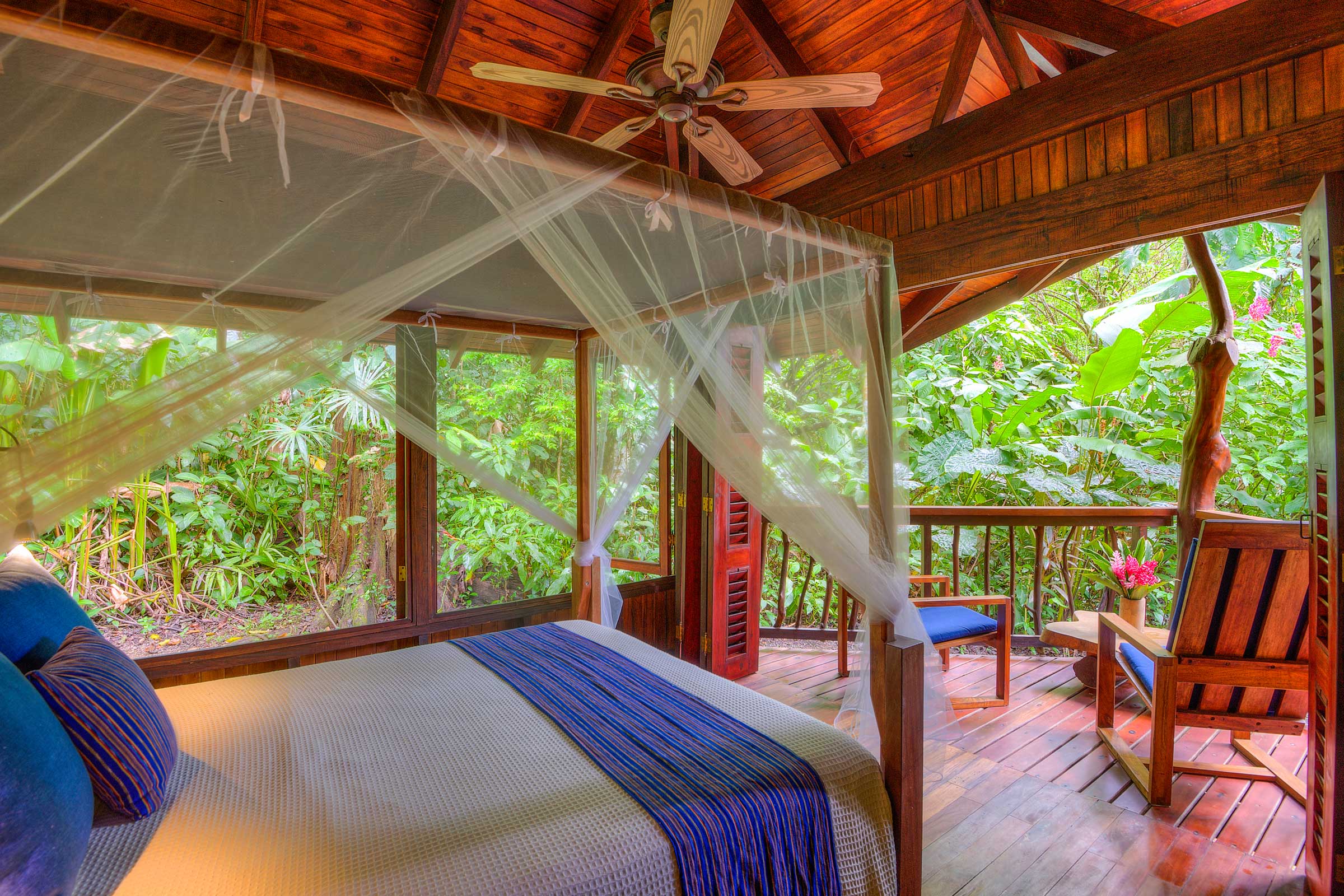 Playa Nicuesa Rainforest Lodge image 4284
