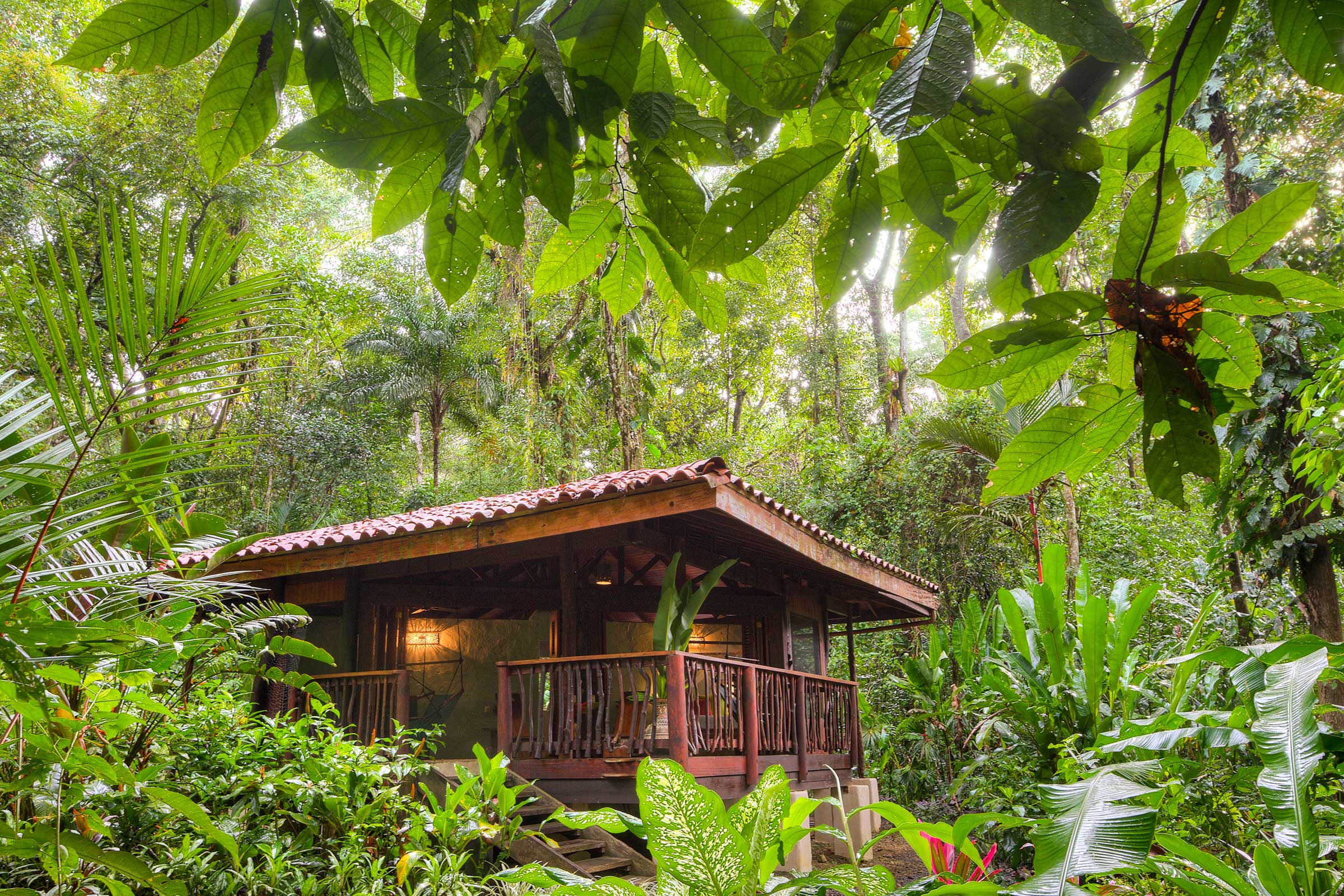 Playa Nicuesa Rainforest Lodge image 4291