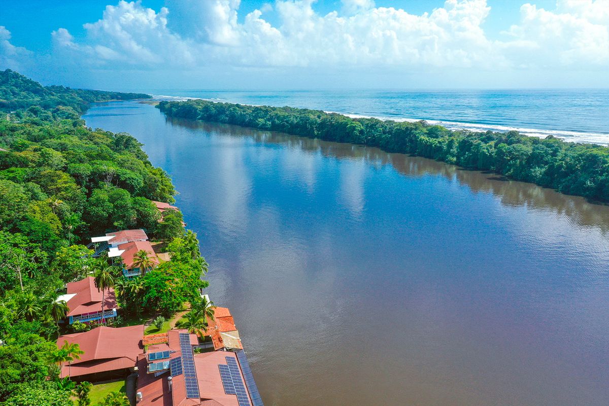 Tortuguera Grande  MercadoLibre 📦