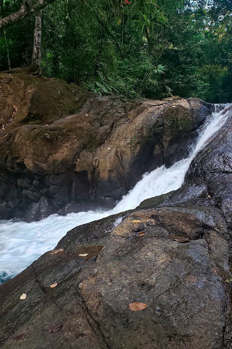 Nauyaca Waterfalls Hike image 4428