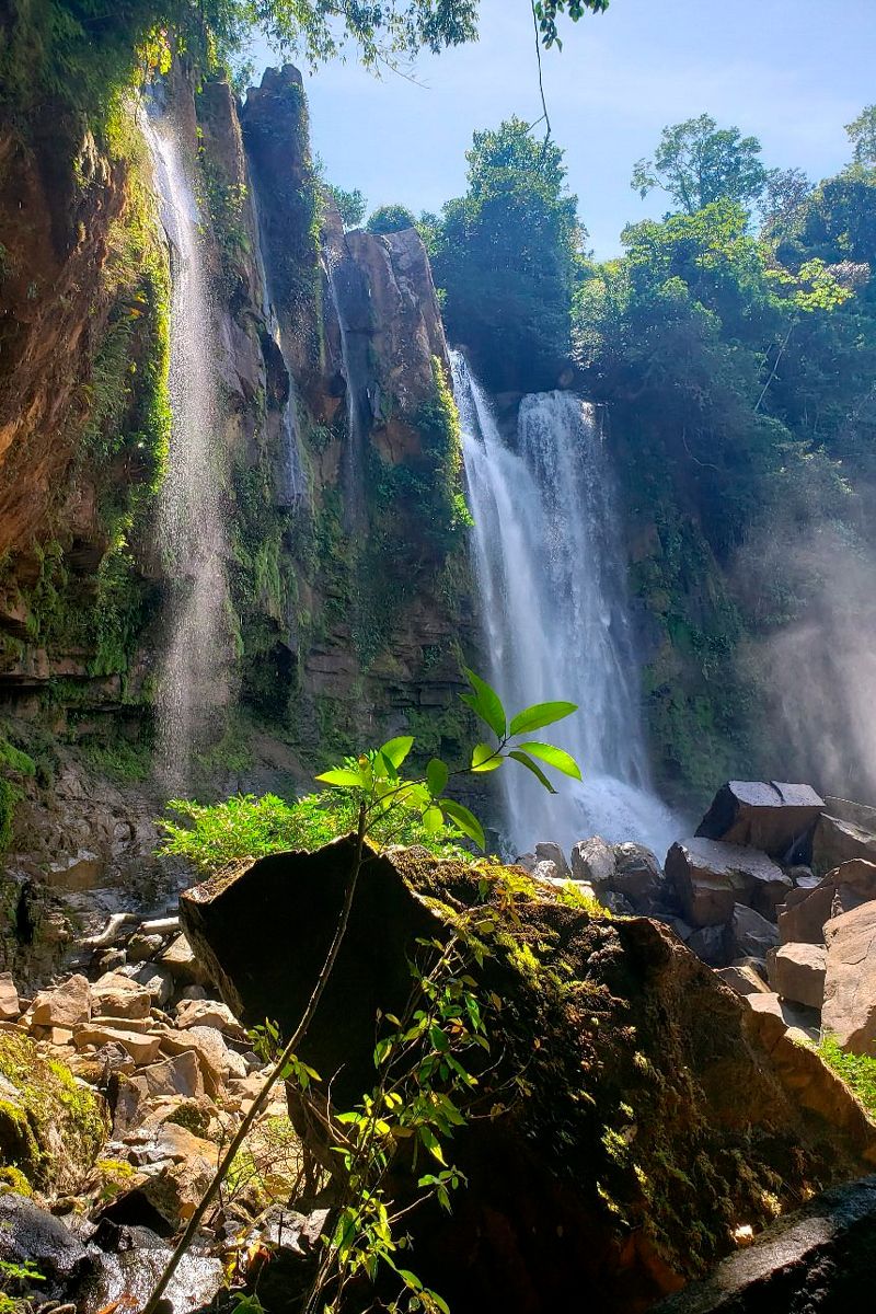 Nauyaca Waterfalls Hike image 4431