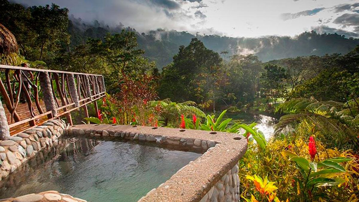 rafiki safari lodge costa rica reviews