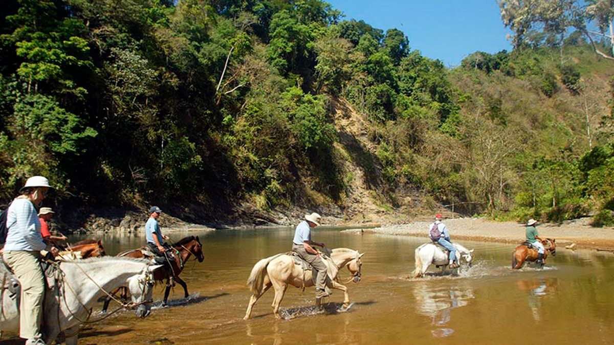 Horseback Riding image 4433