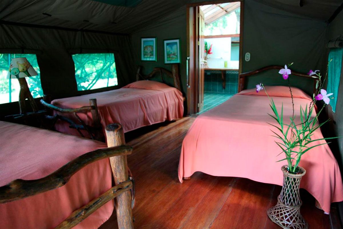 Rafiki Safari Lodge image 4438