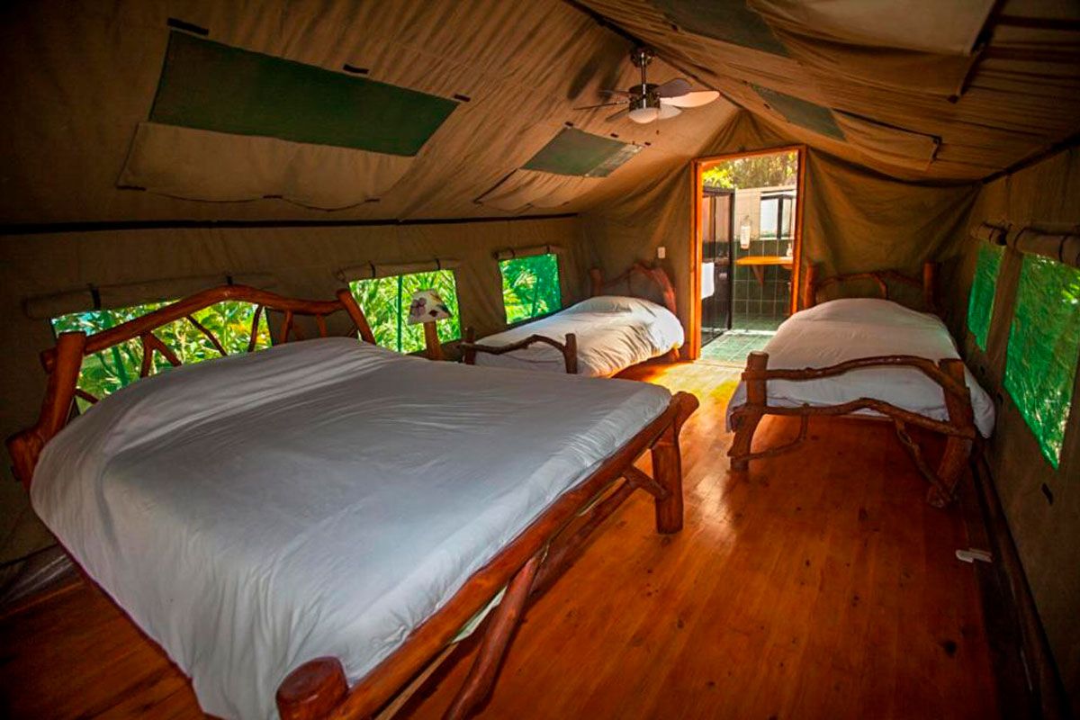 Rafiki Safari Lodge image 4446