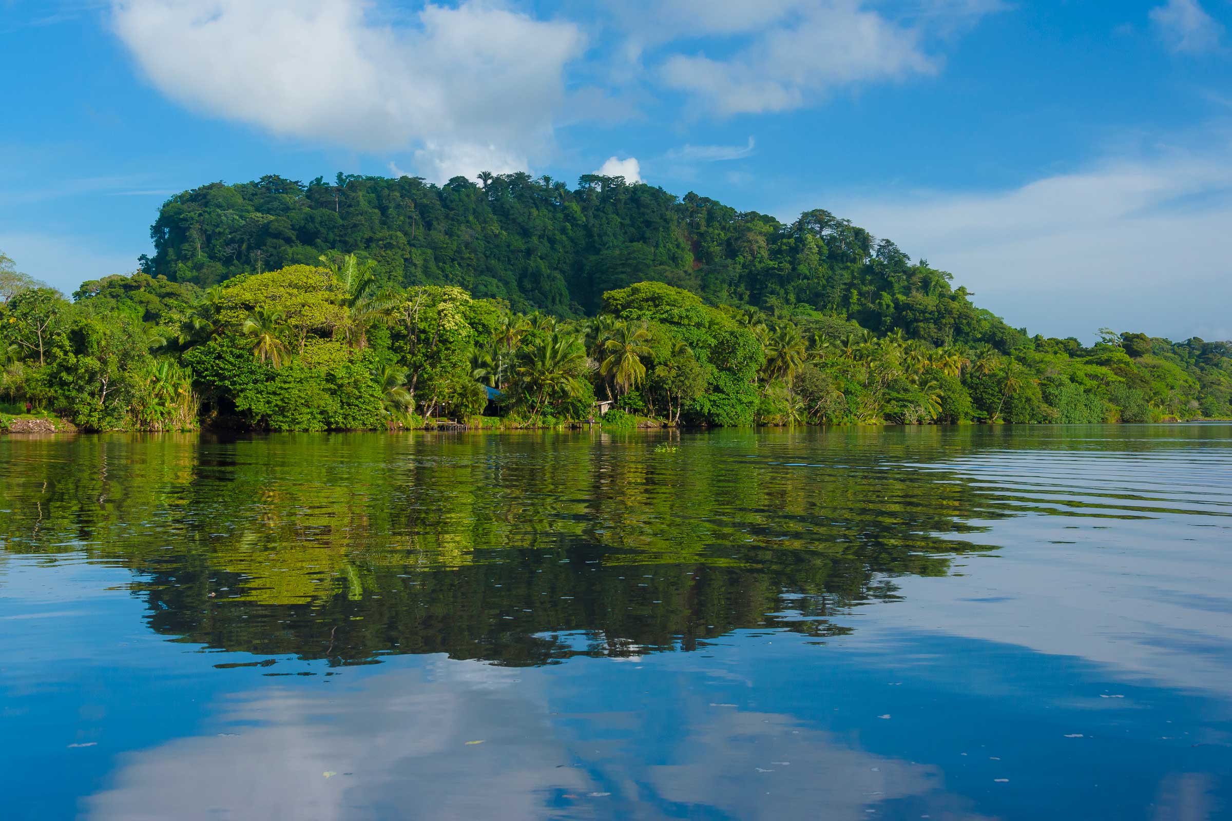 Nature by Boat image 4540