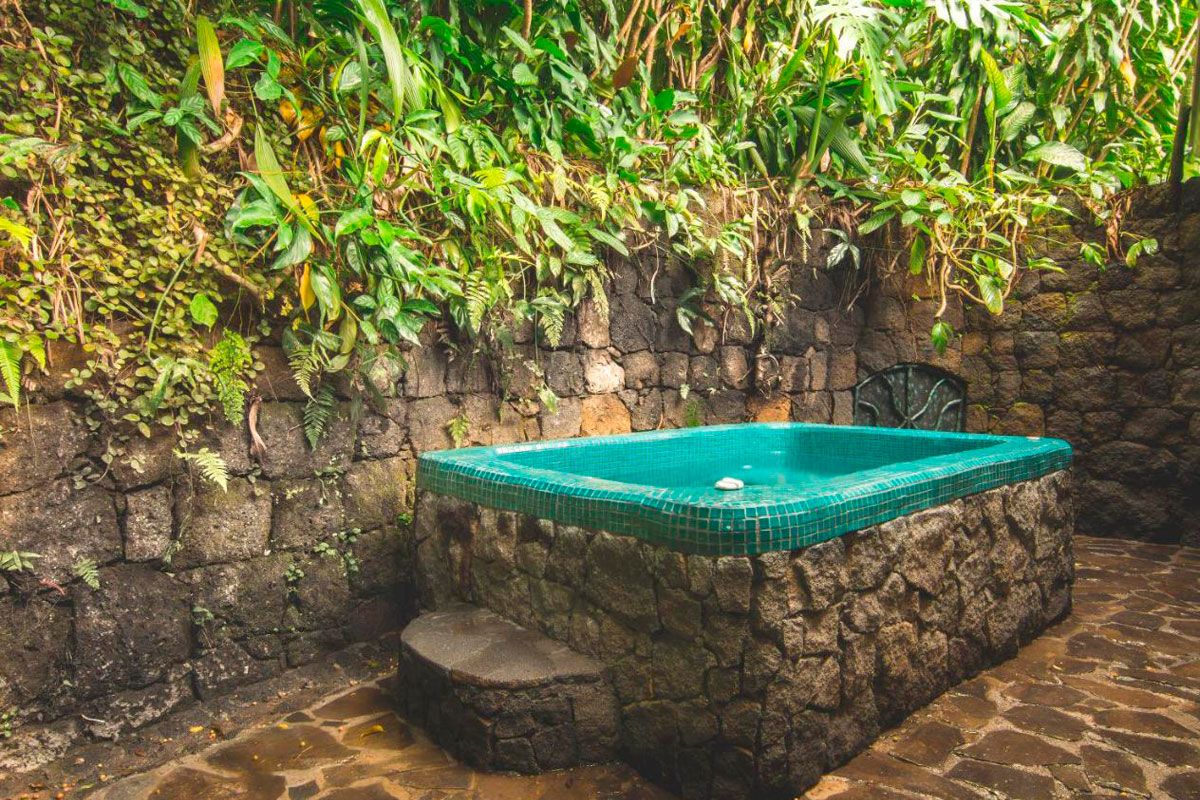 Finca Rosa Blanca image 4632