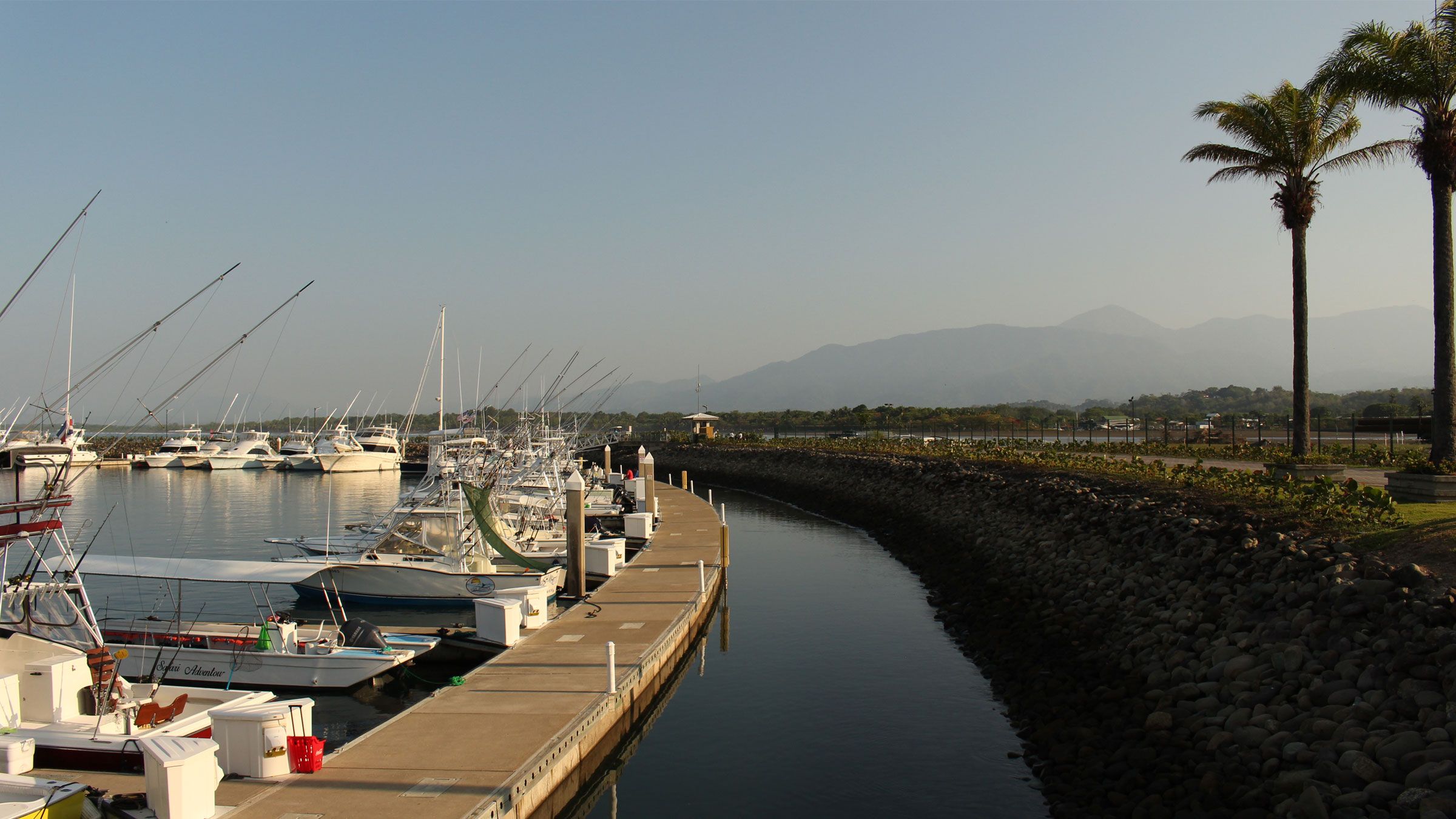 Deep Sea or Inshore Sportfishing  image 4779